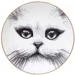 le chat